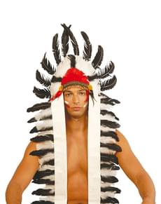 Penacho de índio