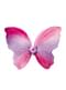 Pink Butterfly Wings