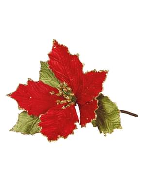 Flor de Páscoa vermelha