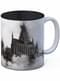 Harry Potter Hogwarts school mug