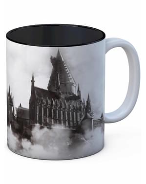 Harry Potter Hogwarts okulu kupa