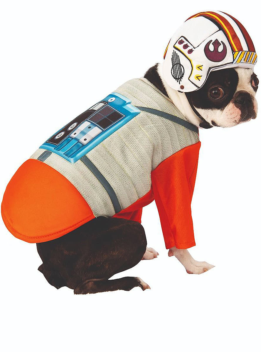 Piloto X-Wing | Star Wars | Mascara Carnaval para cães