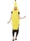 Banana costume