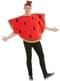 Watermelon costume