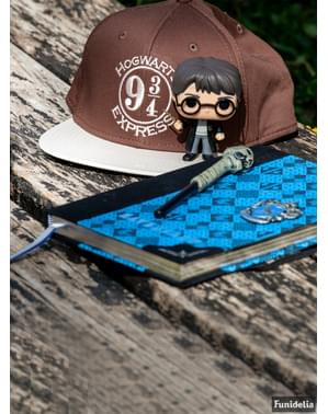 Ravenclaw dagbog Harry Potter