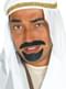Sheik Moustache and Goatee Set
