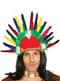 Coiffe indienne avec des plumes