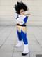 Вегетский костюм для мальчиков - Dragon Ball