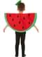 Watermelon Costume for Kids