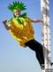 Costume da ananas
