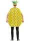 Ananas kostum