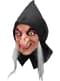 Snow Witch Mask