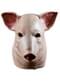 Masque de cochon sanglant