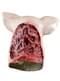 Masque de cochon sanglant