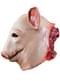 Masque de cochon sanglant