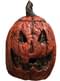 Rotten Pumpkin Halloween Mask