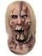 The Walking Dead Zombie Walker Mask