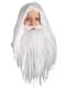 Pruik en Baard van Gandalf