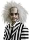Perruque Beetlejuice pour adulte