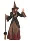 Charming Witch Adult Costume