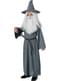 Gandalf The Hobbit An Unexpected Journey costume for Kids