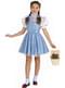 Deluxe Dorothy shining girl costume