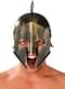Spartan Helmet with Crest