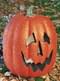 Calabaza 25 cm  luminosa con Purpurina Halloween