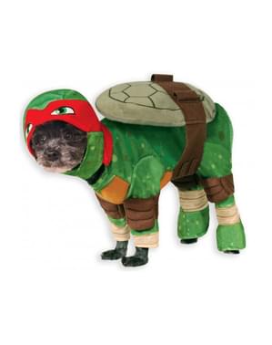 Kostum Raphael Ninja Turtles untuk seekor anjing