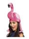 Flamingohattu aikuisille