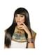 Cleopatra armband met Egyptische tekeningen