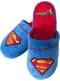 Superman logo slippers for men