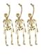 3 esqueletos pingentes. (15 cm)