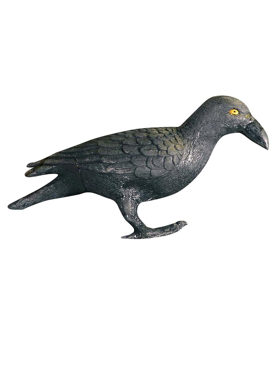 Corvo decorativo nero