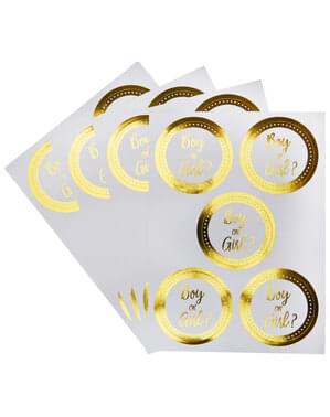 25 autocolantes Boy or Girl? - Pattern Works