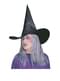 Witch Hat with Grey Hair
