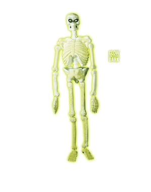 Glow-in-the-dark Laboratory Skeleton