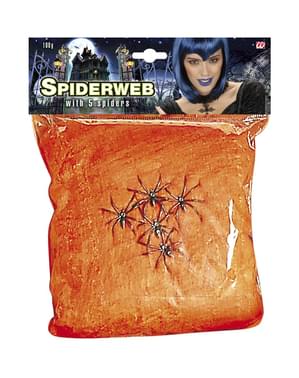 Örümcekler ile turuncu örümcek ağı