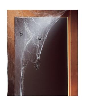 Sarang laba-laba putih dengan laba-laba