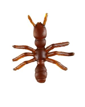 12 चींटियों का सेट