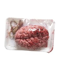 Packaged brains with blood