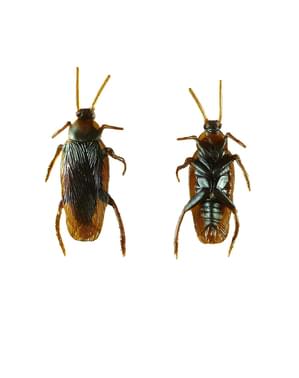 Cucaracha asesina