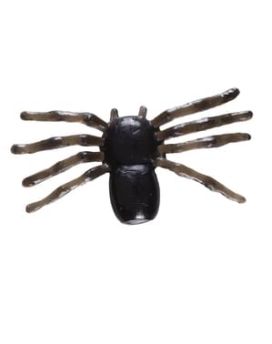 12 Spinnen Halloween