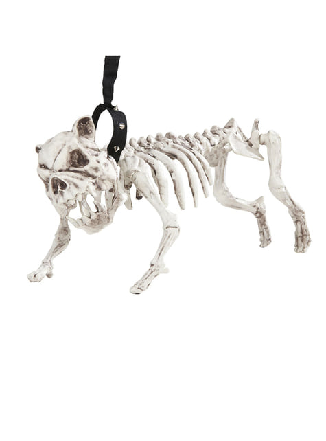 Hunde-Skelett mit Leine