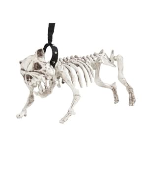 Esqueleto de cão com correia