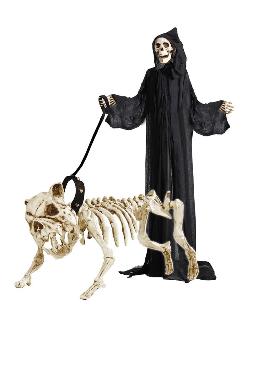 Hunde-Skelett mit Leine