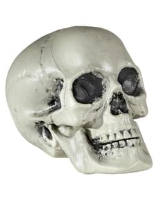 21cm Decorative Skull