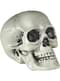 Calavera decorativa de 21 cm