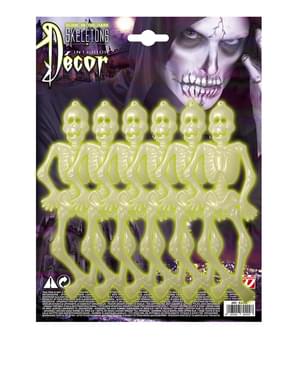 6 squelettes fluorescents Halloween