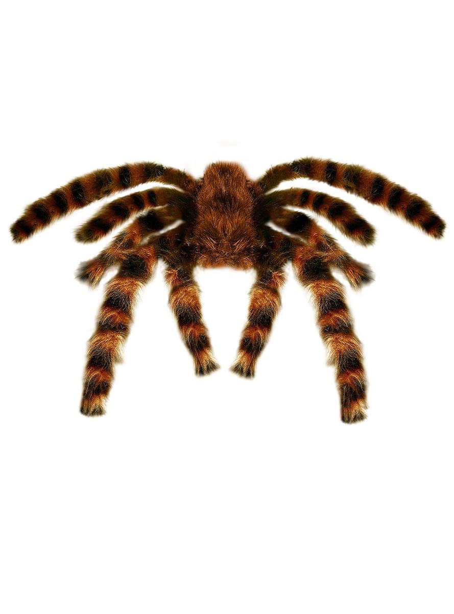 Tarantula deformable 65 cm